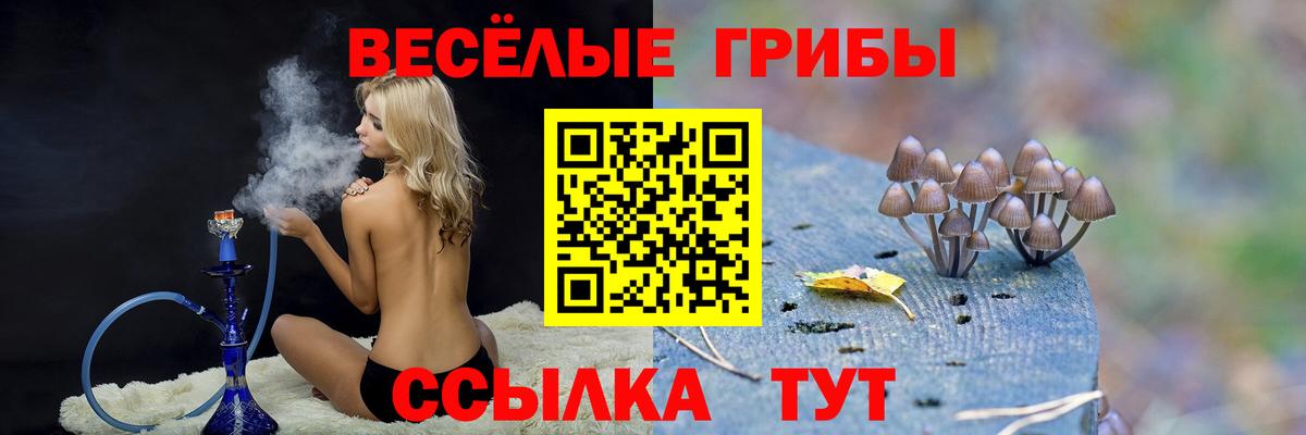 Псилоцибиновые грибы мухоморы Жигулёвск
